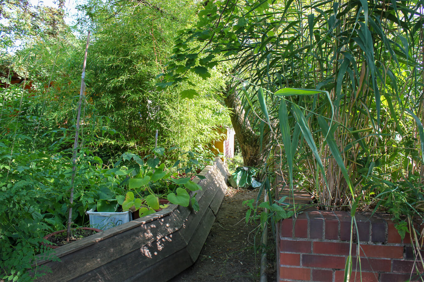 Rainwater harvesting