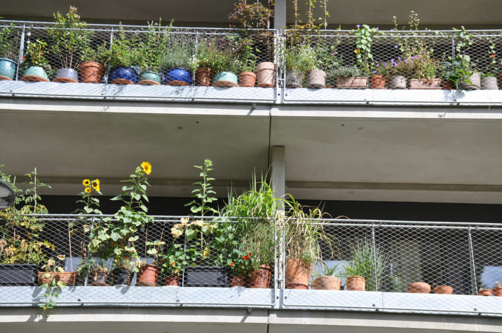 Begr nte Fassaden Building Social Ecology