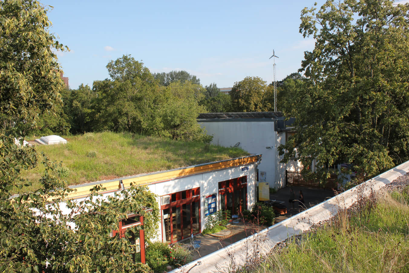 Green roofs